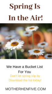 spring, bucket list, goals, flowers, dyi, spring activities, goals, camping, kites, fishing, day trip, rain, picnic, walking,